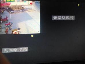 监控显示无视频源,无视频源，神秘事件待解