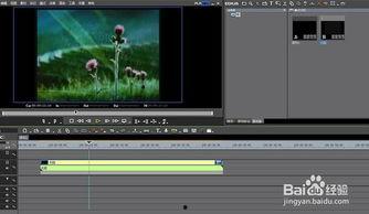 重复视频,揭秘热门内容背后的复制现象