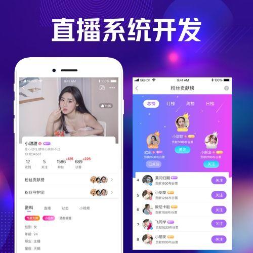 视频直播系统开发,视频直播系统开发全流程解析与实战技巧