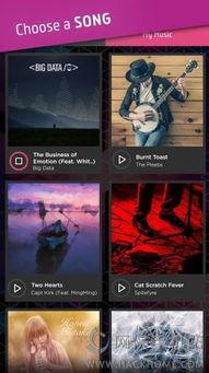 高清音乐视频下载,尽享视听盛宴的秘密武器