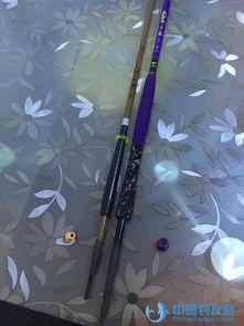 钓竿视频,揭秘钓鱼技巧与乐趣