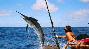 海钓技巧视频,掌握海洋捕鱼的艺术